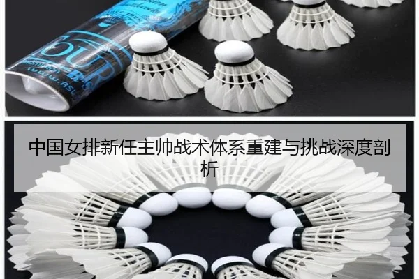 中国女排新任主帅战术体系重建与挑战深度剖析